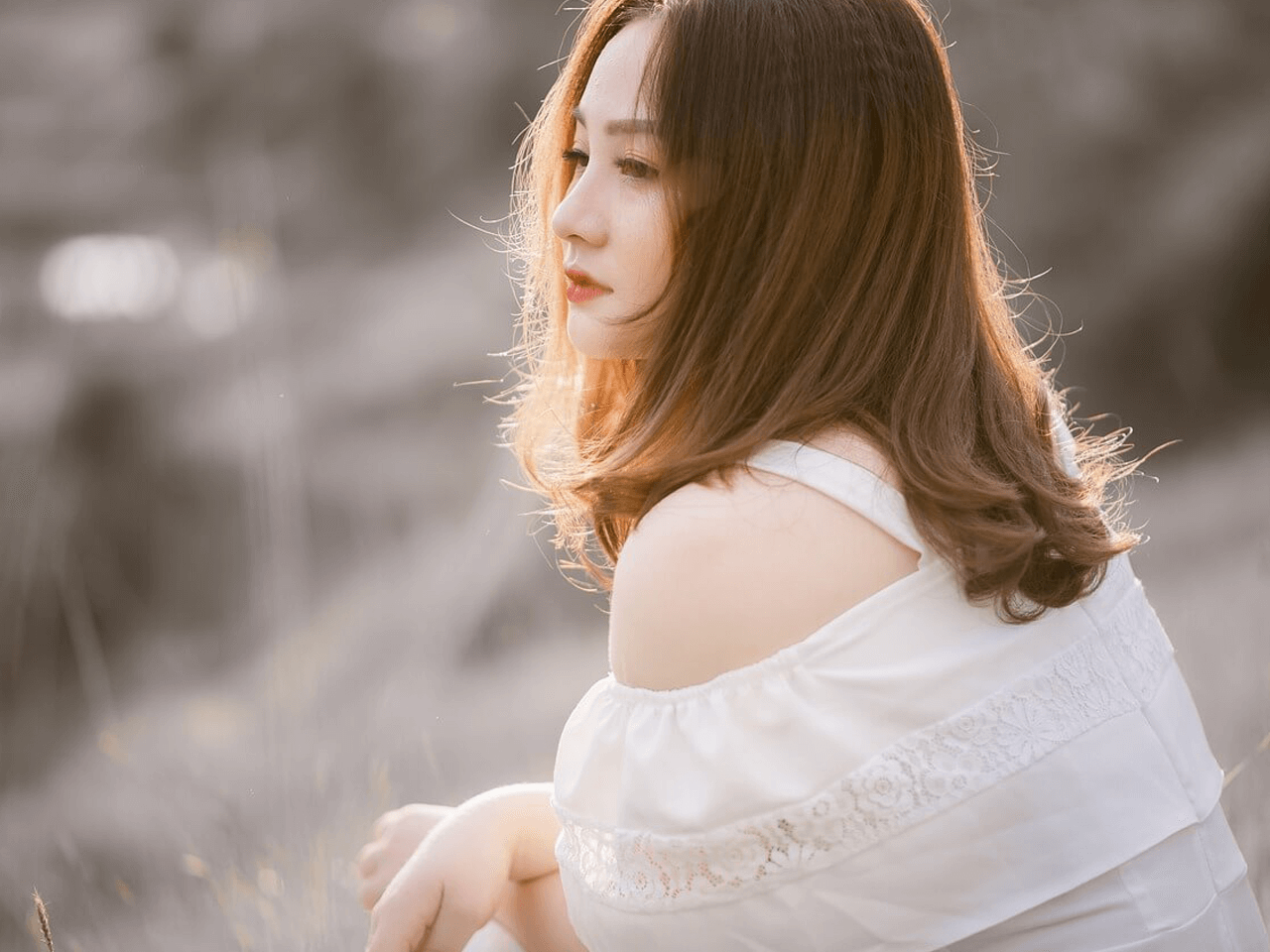 欢迎在宝塔面板安装Z-BlogPHP！